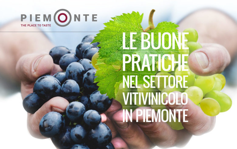 Le buone pratiche nel settore vitivinicolo